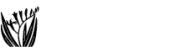 Creek Hill Nursery